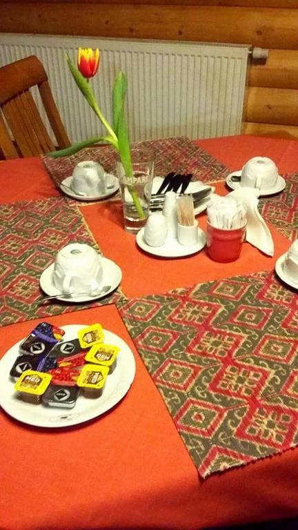 Ludvíkov 灰熊旅馆酒店 外观 照片
